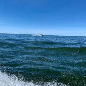 Meet your Posher, Mallory